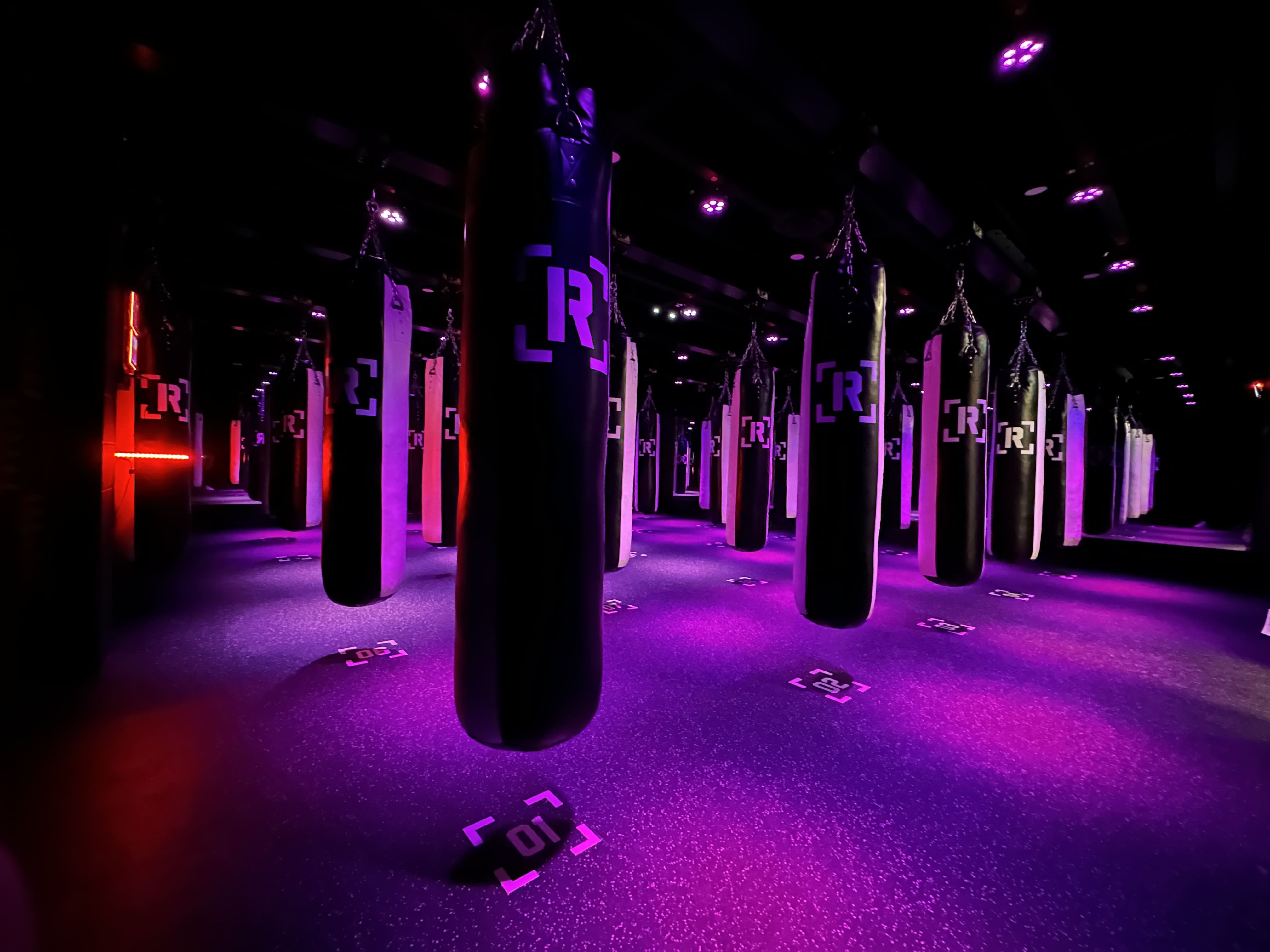 Top boxing experiences in Calgary, showing gyms, athletes, and boxing sessions
